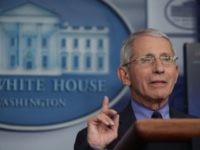 WH: Dr. Fauci Playing Politics Three Days Before Election