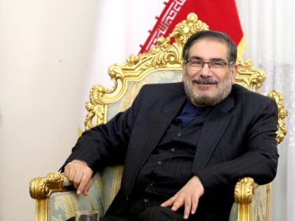 Secretary of Iran's Supreme National Security Council Ali Shamkhani, speaks with Syrian Pr