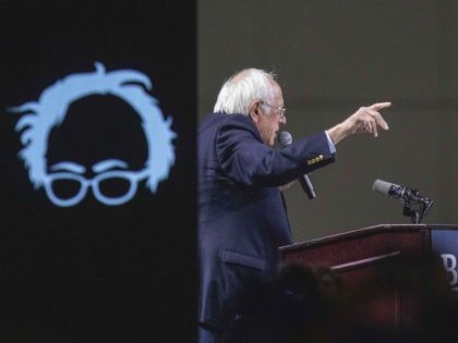 Bernie Sanders hairline (David McNew / Getty)