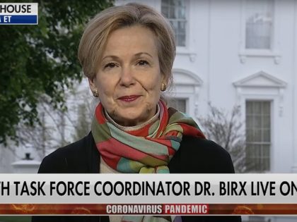 Deborah Birx on 4/28/2020 "Fox & Friends"
