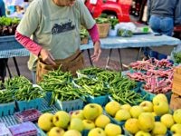 Farmers Market in Washington, Thursday, Oct. 11, 2012. (AP Photo/J. Scott Applewhite)