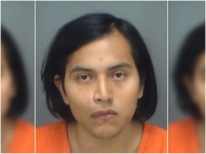 Illegal Alien Arrested for Beheading Cat, Parading Severed Head on Stick