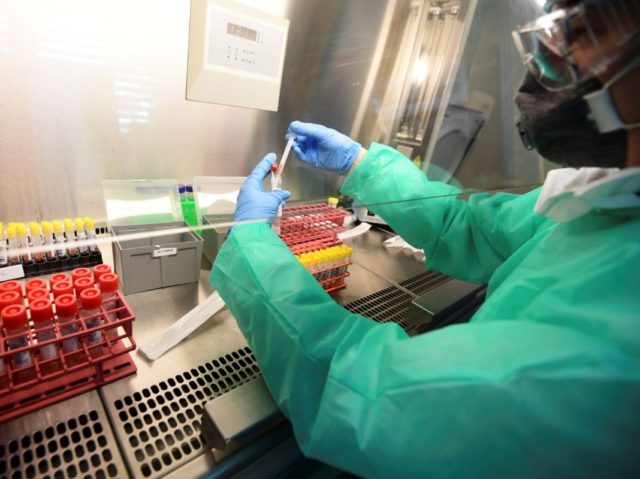 A member of medical staff handles coronavirus samples at the microbiology laboratory of th