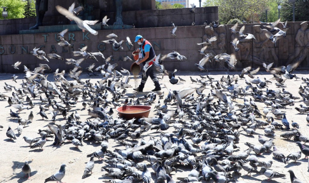 An employee of the Ankara Municipality staff feed pigeons in a park in Ankara on April 18, 2020,during a 48-hour curfew imposed to stem the spread of the novel coronavirus (COVID-19). - Turkish government announced a two-day curfew to prevent the spread of the novel coronavirus COVID-19. (Photo by Adem ALTAN / AFP) (Photo by ADEM ALTAN/AFP via Getty Images)