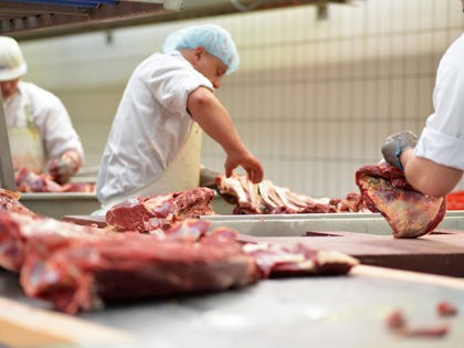 workplace food industry - factory butchery for the production of sausages - butcher cuts meat