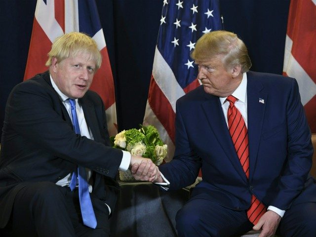 US President Donald Trump and British Prime Minister Boris Johnson hold a meeting at UN Headquarters in New York, September 24, 2019, on the sidelines of the United Nations General Assembly. (Photo by SAUL LOEB / AFP) (Photo by SAUL LOEB/AFP via Getty Images)