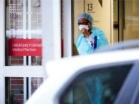 Amnesty Advocates Say Illegal Migrants Are Essential Heroes of Coronavirus Fight