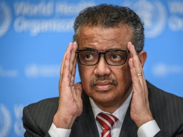 EDITORS NOTE: Graphic content / World Health Organization (WHO) Director-General Tedros Adhanom Ghebreyesus attends a daily press briefing on COVID-19 virus at the WHO headquaters on March 11, 2020 in Geneva. - WHO Director-General Tedros Adhanom Ghebreyesus announced on March 11, 2020 that the new coronavirus outbreak can now be …