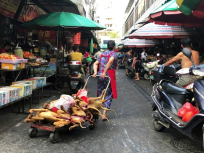 Eating dog meat to mark the summer solstice is a tradition in China's Guangxi province