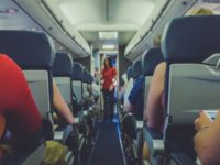 flight attendant