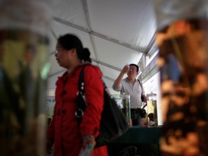A Chinese man takes a closer look at a Chinese medicine on display at a booth during a Health Culture Festival held at the Ditan Park in Beijing, China Friday, May 13, 2011. The Health Culture Festival will offer free doctors consultation services and Chinese medicine information to the people …