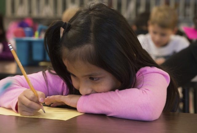 Homework helpers english language and composition