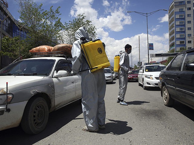 Volunteers in protective suits spray disinfectant on passing vehicles to help curb the spr