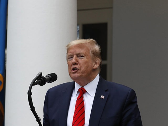 President Donald Trump speaks about the coronavirus during a press briefing in the Rose Garden of the White House, Monday, May 11, 2020, in Washington. (AP Photo/Alex Brandon)