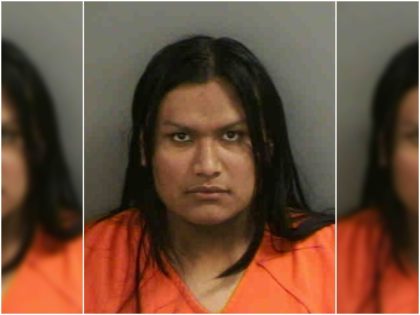 Florida: Illegal Alien Charged with 100 Counts of Possessing Child Porn