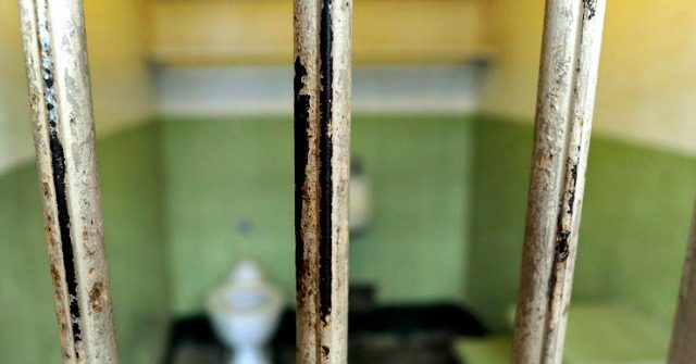 Report: Cuba Using Dog Mauling, Grandma Beatings, Poison to Torture Political Prisoners