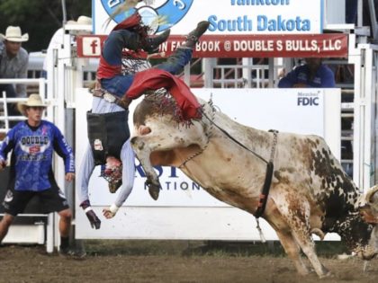 Bull Riding