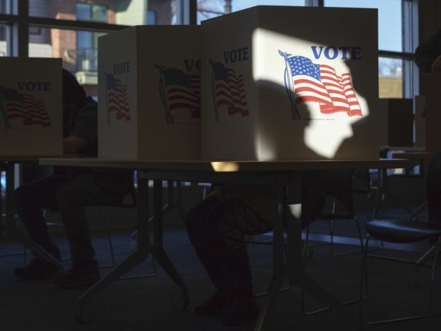 Michigan voting (Elaine Cromie / Getty)