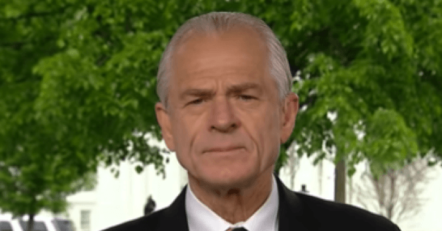 Navarro: Tariffs Can Be Both About Fentanyl and Jobs and They'll Generate Revenue