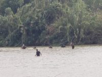 Six illegal aliens and their human smuggler abscond to Mexico after a lengthy vehicle pursuit in South Texas. (Photo: U.S. Border Patrol/Laredo Sector)