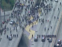 Protesters Block 110 Freeway in Los Angeles, Police Officer Attacked