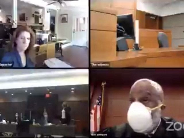 Texas Hair Salon owner Shelley Luther appears via zoom before a Texas district court judge in Dallas County. (Screenshot via Twitter)