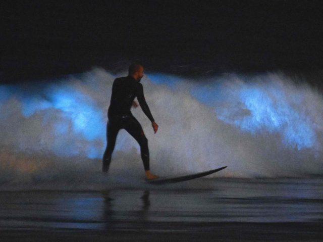 Surfer in bioluminscent waves (Mark J. Terrill / Associated Press)