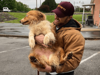 Eric Johnson, 37, reunited with miniature Australian Shepherd, Bella, who was lost during the category 4 tornado that hit Cookeville, Tenn. on May 3, 2020.Eric Johnson, 37, reunited with miniature Australian Shepherd, Bella, who was lost during the category 4 tornado that hit Cookeville, Tenn. on May 3, 2020. Eric …