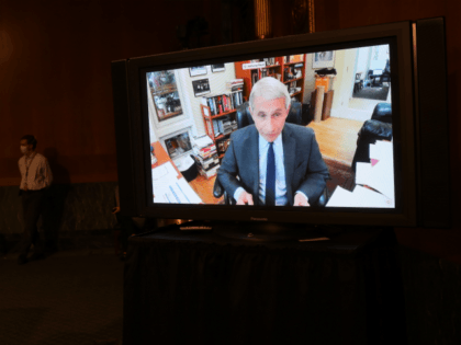 WASHINGTON, DC - MAY 12: Dr. Anthony Fauci, director of …