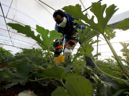 Mamadou Bah, a migrant from Guinea, wears a sanitary mask to protect against coronavirus a