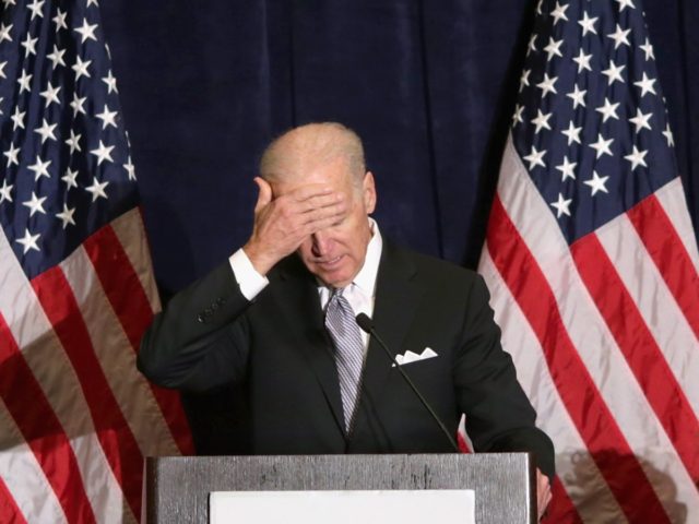 WASHINGTON, DC - FEBRUARY 27: U.S. Vice President Joe Biden feigns disappointment while delivering remarks during the Democratic National Committee's Winter Meeting with (L-R) DNC Vice President Mike Tate, DNC President Raymond Buckley, DNC Chair Rep. Debbie Wasserman Schultz (D-FL) and DNC Secretary Yvette Lewis at the Capitol Hilton February …