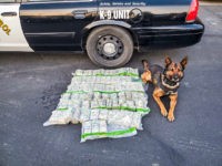 Nearly One Million Dollars Dumped on California Road During Police Pursuit