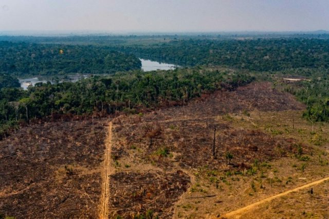 Handout picture released by the Communication Department of the State of Mato Grosso showing deforestation in the Amazon basin in the municipality of Colniza, Mato Grosso state, Brazil, on August 29, 2019. © Mato Grosso State Communication Department/AFP Mayke TOSCANO