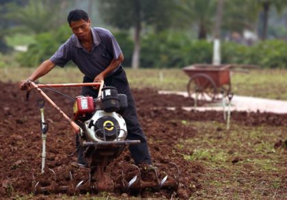 Rising temperatures to accelerate growth of damaging plant pathogen