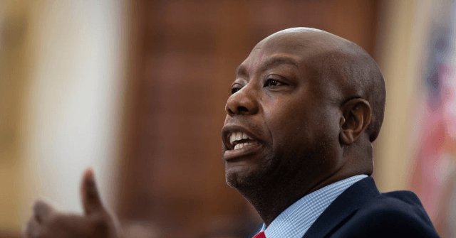 Tim Scott: Private, Catholic Schools Have Re-Opened, So Should Public Schools