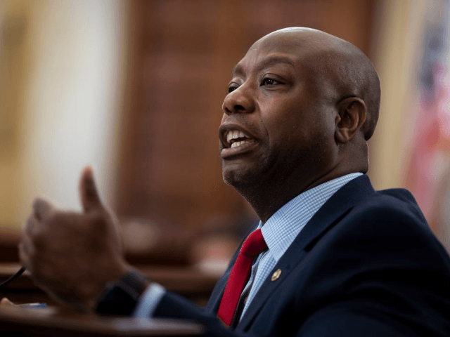 Sen. Tim Scott, R-S.C., speaks during a Senate Small Business and Entrepreneurship hearing to examine implementation of Title I of the CARES Act, Wednesday, June 10, 2020 on Capitol Hill in Washington. (Al Drago/Pool via AP)