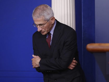 Dr. Anthony Fauci, director of the National Institute of Allergy and Infectious Diseases, waits for a coronavirus task force briefing to begin at the White House, Saturday, April 4, 2020, in Washington. (AP Photo/Patrick Semansky)