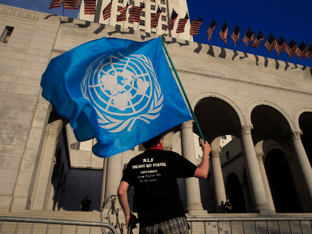 Steve Meece holds a United Nations flag as he joins a "Black Lives Matter" protest Saturday, June 6, 2020 outside Los Angeles City Hall in Los Angeles. The death of George Floyd, who was restrained by Minneapolis police last month, has sparked nationwide protests for police reform. (AP Photo/Damian Dovarganes)