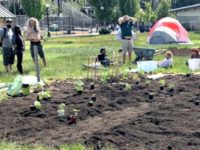 Δυνατότητα Seattle Times Pens στο «Guerilla Gardening» μέσα στο CHAZ