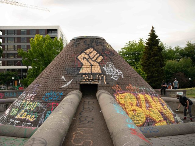 Cal Anderson Park Seattle (David Ryder / Getty)