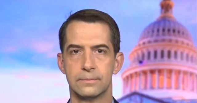 Cotton: Biden Spending Bill ‘Only Going to Add to the Record-High Inflation’