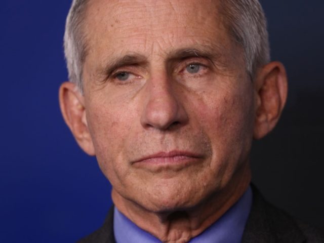 Fauci on Trump Claim Coronavirus Casualty Count Is Exaggerated: ‘Deaths Are Real Deaths,’ ‘That’s Not Fake’