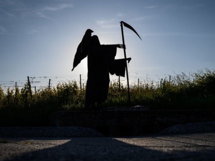 TOPSHOT - A scarecrow representing the Grim Reaper, Death with his scythe and a crow on shoulder, is pictured in the middle of the vineyards at sunset on May 27, 2020 near Denens, amid the COVID-19 outbreak, caused by the novel coronavirus. - Due to the COVID-19 pandemic the village …