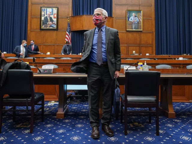 WASHINGTON, DC - JUNE 23: Dr. Anthony Fauci, director of the National Institute of Allergy