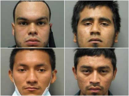 Four illegal alien MS-13 Gang members and another member of …