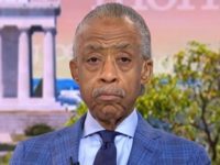 Al Sharpton: Trump Has Compromised the ‘Integrity of the Smithsonian’