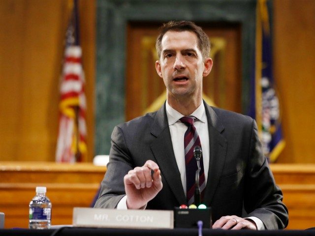 Sen. Tom Cotton, R-AR speaks during a Senate Intelligence Committee nomination hearing for Rep. John Ratcliffe, R-TX, on Capitol Hill in Washington,DC on May 5, 2020. - The panel is considering Ratcliffes nomination for Director of National Intelligence. (Photo by Andrew Harnik / POOL / AFP) (Photo by ANDREW HARNIK/POOL/AFP …