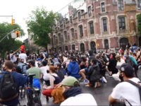 Watch: Hundreds Take a Knee for George Floyd in Brooklyn