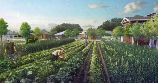 village tiny homes dale tx