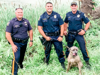 Today our officers were called for a k9 in distress. Akela, a gray boxer/mastiff had gotte